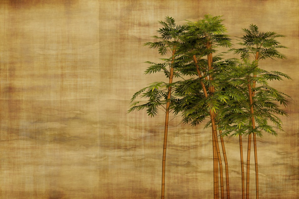 Bambus by Geralt (pixabay)